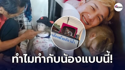 เจ้าของรับไม่ได้ เจ้าก็อตซิลล่าถูกปล่อยนั่งตากแดดตัวเดียว