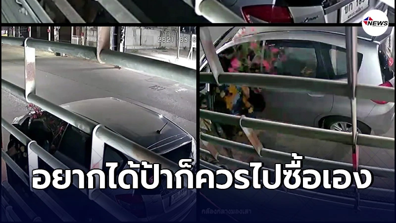 มนุษย์ป้าขับเก๋งจอดขโมยยกขึ้นรถ บ้านที่มีต้นไม้สวยๆเเพงๆต้องระวังให้ดี
