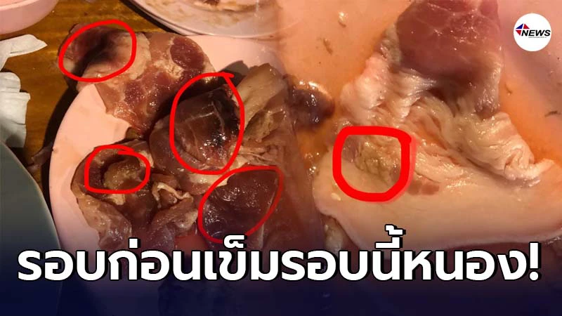 สาวแฉร้านหมูกระทะเจอฝีหนองเต็มเนื้อหมู ฝืนกินต่อไม่ไหว มารู้ตอนเป็นข่าว สาวแฉร้านหมูกระทะเจอฝีหนองเต็มเนื้อหมู ฝืนกินต่อไม่ไหว มารู้ตอนเป็นข่าว