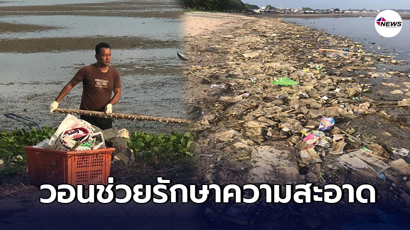 สาวแอบถ่าย ชายพลเมืองดีเดินเก็บขยะเกลื่อนหาดบ้านเพ เพียงลำพัง สาวแอบถ่าย ชายพลเมืองดีเดินเก็บขยะเกลื่อนหาดบ้านเพ เพียงลำพัง