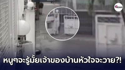 แก๊งวัยกระเตาะโชว์ห้าว ยืนขวางประตูอัตโนมัติ ดีที่เจ้าของบ้านกดรีโมทัน