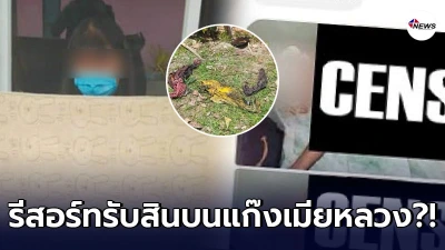 ลูกสาวเจ้าของรีสอร์ทสุดทน โดนครหารับสินบน แก๊งเมียหลวง ฟาดกลับไม่ยั้ง