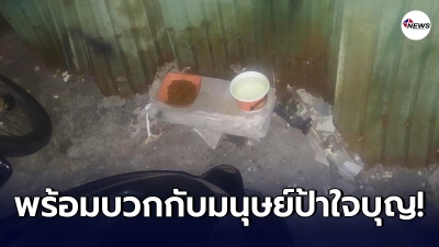 เจ้าของบ้านถึงจุดที่ทนไม่ไหว มนุษย์ป้าใจบุญ เอาอาหารมาเลี้ยง "แมวจร" เจ้าของบ้านถึงจุดที่ทนไม่ไหว มนุษย์ป้าใจบุญ เอาอาหารมาเลี้ยง "แมวจร"