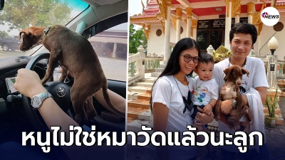 ครอบครัวใจบุญยอม ขับรถไป - กลับ กว่า  500 กิโล เพื่อรับหมาวัด มาเลี้ยงที่บ้าน