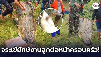 ครอบครัวร่ำไห้จระเข้ยักษ์เข้าจู่โจมลูกชายตัวน้อย จับได้จัดการชำแหละ