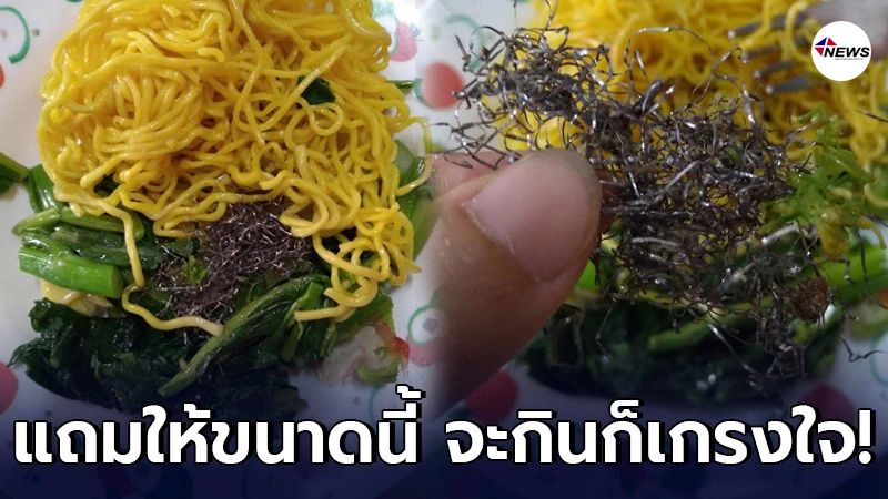 สั่งบะหมี่ป๊อกป๊อก พ่อค้าใจดีให้ของแถมมาเต็ม เจองี้ ควรไปต่อหรือพอแค่นี้? สั่งบะหมี่ป๊อกป๊อก พ่อค้าใจดีให้ของแถมมาเต็ม เจองี้ ควรไปต่อหรือพอแค่นี้?