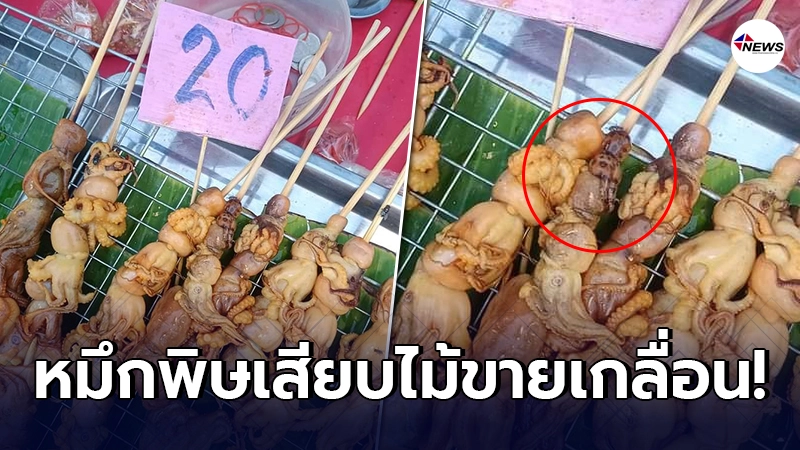 เตือนภัย ร้านค้าริมทางจับ "หมึกบลูริง" เสียบไม้ปิ้งขายเกลื่อน