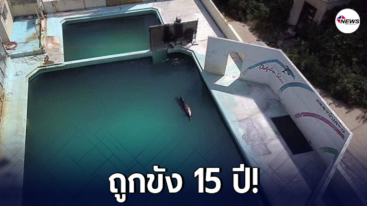 โลมาผู้น่าสงสารที่ตายอย่างเดียวดาย ถูกขังมานานกว่า 15 ปี