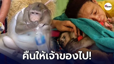 ชาวเน็ตติด #Saveก็อตซิลล่า ทวงคืนเจ้าของ หลังถูก จนท. รับไปดูแล หวั่นตรอมใจ
