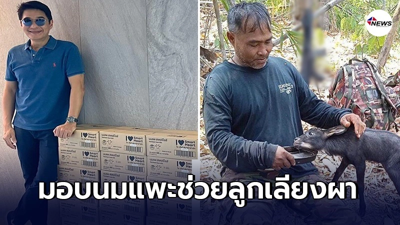 ก้อง สหรัถ มอบนมแพะ 47 ลัง เลี้ยงลูกเลียงผากำพร้าแม่ ก้อง สหรัถ มอบนมแพะ 47 ลัง เลี้ยงลูกเลียงผากำพร้าแม่
