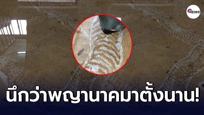 หนุ่มถึงบางอ้อ เดินตามรอยประหลาด หลงคิดว่ารอยพญานาคมาตั้งนาน หนุ่มถึงบางอ้อ เดินตามรอยประหลาด หลงคิดว่ารอยพญานาคมาตั้งนาน