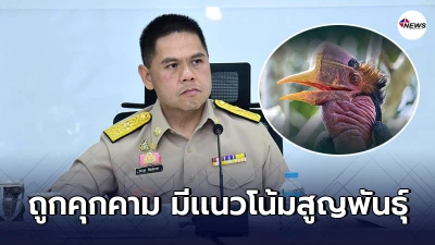 บิ๊กท็อป ประชุมหารือ เห็นชอบเพิ่ม"นกชนหิน"เป็นสัตว์ป่าสงวนลำดับที่20