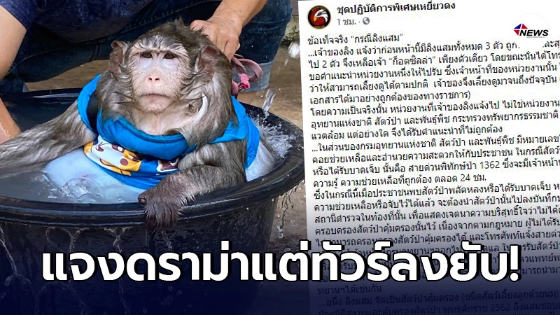 ชุดเหยี่ยวดงแจง ดราม่าเจ้าก็อตซิลล่า สุดท้ายจบไม่สวยทัวร์ลงในไม่กี่นาที ชุดเหยี่ยวดงแจง ดราม่าเจ้าก็อตซิลล่า สุดท้ายจบไม่สวยทัวร์ลงในไม่กี่นาที
