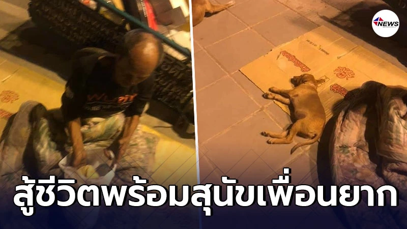 สุดสงสาร คุณลุงไร้บ้าน เข็นรถเก็บขวดขายประทังชีวิต เร่ร่อนพร้อมสุนัข สุดสงสาร คุณลุงไร้บ้าน เข็นรถเก็บขวดขายประทังชีวิต เร่ร่อนพร้อมสุนัข