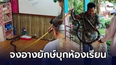 นักเรียนป.3หวีดร้องระงม จงอางยักษ์ 3 เมตร บุกเข้าห้องเรียนพากันวิ่งกระเจิง