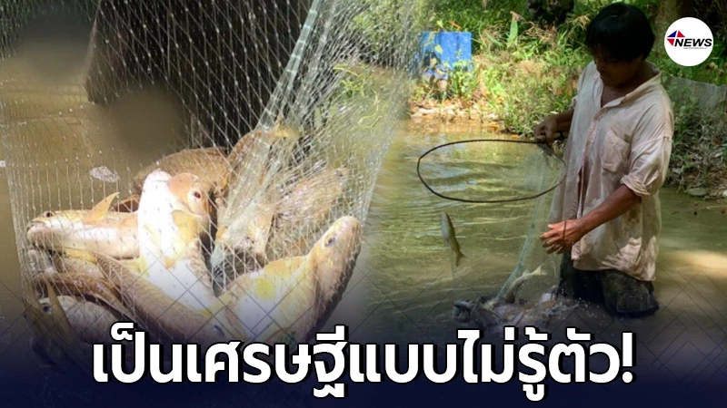 หนุ่มเลี้ยงปลามา 10 ปี เพิ่งรู้ว่าเป็นพันธุ์หายาก ราคาขายกิโลละ 3,500 หนุ่มเลี้ยงปลามา 10 ปี เพิ่งรู้ว่าเป็นพันธุ์หายาก ราคาขายกิโลละ 3,500