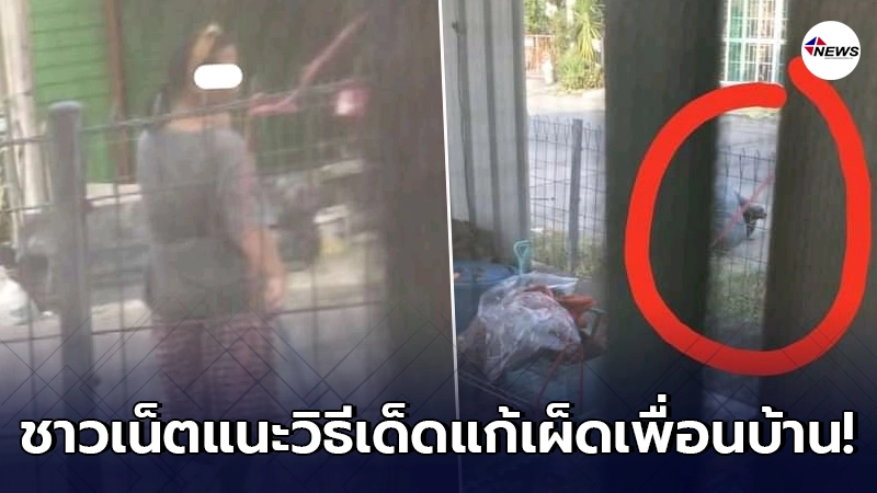 สาวทนไม่ไหว มนุษย์ป้าข้างบ้านพาฝูงหมามาถ่ายของเสียใส่หน้าบ้านทุกวัน สาวทนไม่ไหว มนุษย์ป้าข้างบ้านพาฝูงหมามาถ่ายของเสียใส่หน้าบ้านทุกวัน