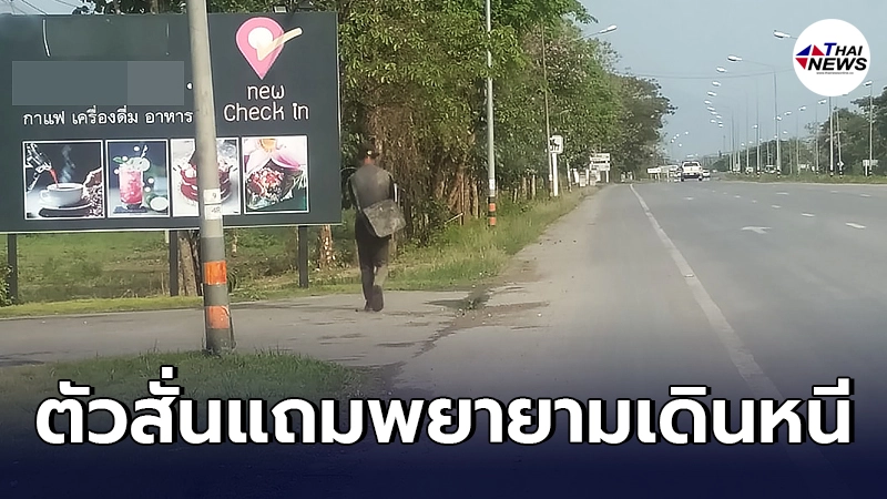 ชายเดินเท้าข้างถนนตั้งแต่ค่ำยันเช้า เหมือนคนไม่ได้กินข้าวไร้เรี่ยวแรง ชายเดินเท้าข้างถนนตั้งแต่ค่ำยันเช้า เหมือนคนไม่ได้กินข้าวไร้เรี่ยวแรง