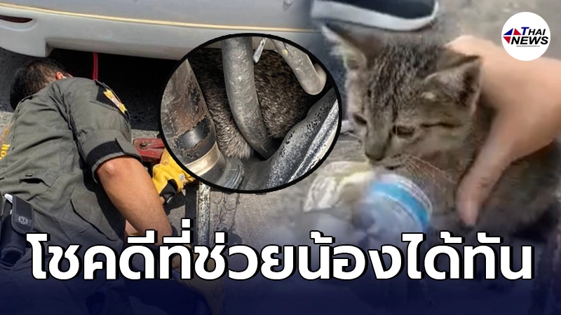 กู้ภัยรุดเข้าช่วยเหลือด่วน ลูกแมวจอมซน ลำตัวไปติดข้างล้อรถยนต์