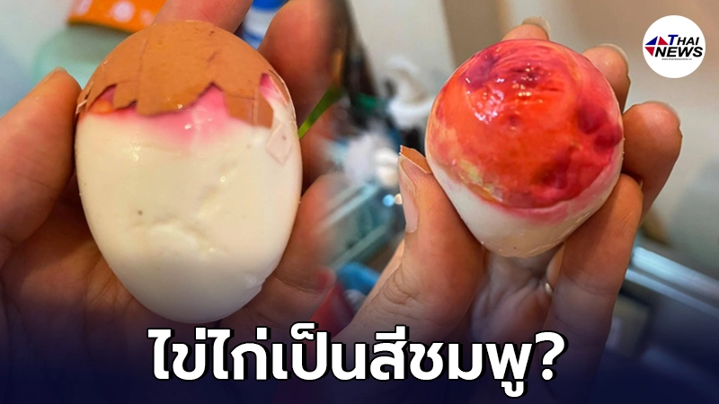หมอแล็บแพนด้าเผย ไข่ไก่สีชมพู ต้มกินได้ แต่เห็นแล้วกินไม่ลง - ไทยนิวส์ออนไลน์ หมอแล็บแพนด้าเผย ไข่ไก่สีชมพู ต้มกินได้ แต่เห็นแล้วกินไม่ลง - ไทยนิวส์ออนไลน์