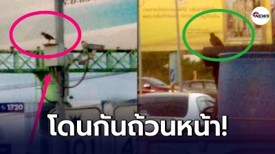 เตือนภัยผู้ใช้รถใช้ถนน โปรดระวัง "เอี้ยงด่านลอย" จอดติดไฟแดงโดนกันเป็นประจำ