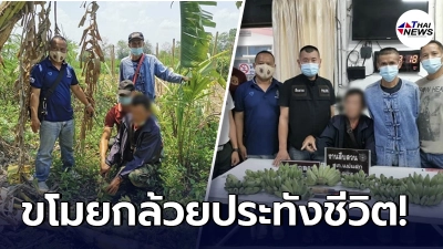 จนท.รวบ ลุงวัย 69 ปี ไม่มีงานทำ ขโมยกล้วยชาวบ้าน กินประทังชีวิต