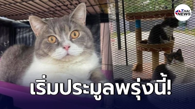 เปิดราคาขายทอดตลาด 6 แมวพันธุ์นอกของกลางเครือข่าย กุ๊ก ระยอง