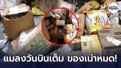สาวรับไม่ได้ ส่งของกับบริษัทขนส่ง ขึ้นสถานะคงคลัง เลยให้ผู้รับไปเอาเอง