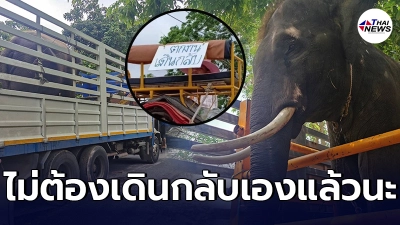 ผู้ใจบุญเห็นทนไม่ไหว นำรถบรรทุก 6 คัน ช่ายควาญช้าง พาช้างกลับบ้านใน สุรินทร์ ผู้ใจบุญเห็นทนไม่ไหว นำรถบรรทุก 6 คัน ช่ายควาญช้าง พาช้างกลับบ้านใน สุรินทร์