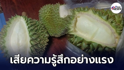 หนุ่มเซ็ง ซื้อทุเรียนหมอนทองจากจันทบุรีมาฝากพี่สาว แต่กลับเจอทุเรียนอ่อน