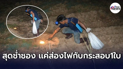 ฤดูกาลที่รอคอย  ชาวบ้านรวมตัวกลางทุ่งนายามค่ำคืน ออกล่าเมนูเด็ด  กิโลละ 200