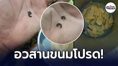 ขนมมันฝรั่งทอด ซื้อมาจากในห้างฯ กินไปจนเกือบหมดเจอของแถม 2 ตัว นอนขด