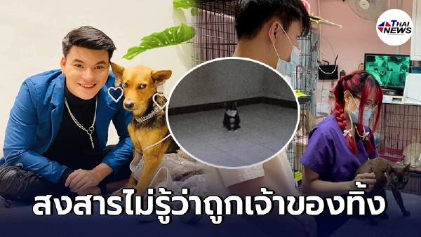 บูม ยุทธภูมิ เจ้าของหมูกระทะ รับน้องแมวถูกเจ้าของทิ้งมาเลี้ยงดูแล บูม ยุทธภูมิ เจ้าของหมูกระทะ รับน้องแมวถูกเจ้าของทิ้งมาเลี้ยงดูแล