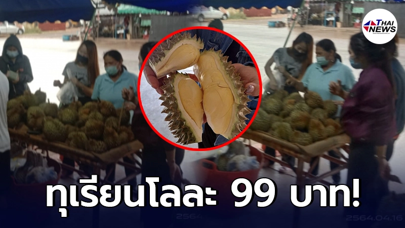 เผยพิกัด ทุเรียนราคาถูก กิโลกรัมละ 99 บาท ชาวบ้านแห่รุมซื้อเพียบ เผยพิกัด ทุเรียนราคาถูก กิโลกรัมละ 99 บาท ชาวบ้านแห่รุมซื้อเพียบ