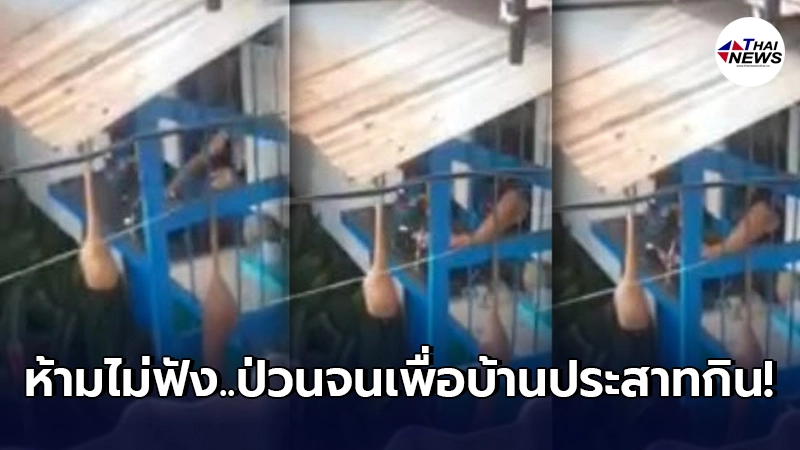 ชาวบ้านปวดประสาท มนุษย์ป้า ตื่นเช้าเปิดเพลง - ใช้ของเคาะอ่างเสียงดัง ชาวบ้านปวดประสาท มนุษย์ป้า ตื่นเช้าเปิดเพลง - ใช้ของเคาะอ่างเสียงดัง