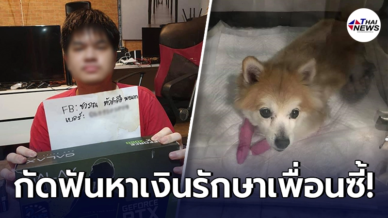 หนุ่มวัย 16 ยอมขายของรัก หาเงินรักษาเพื่อนซี้ป่วยหนัก ที่เลี้ยงมากว่า 10 ปี