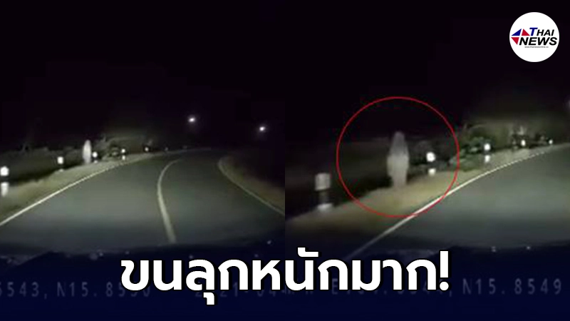 สาวสุดหลอน ขับรถบนทางเปลี่ยวตอนตี 2 เจอเงาปริศนาข้างทาง กรีดร้องจนเสียงหลง สาวสุดหลอน ขับรถบนทางเปลี่ยวตอนตี 2 เจอเงาปริศนาข้างทาง กรีดร้องจนเสียงหลง