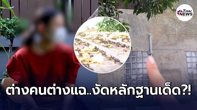 เพื่อนบ้านกวาดใบไม้ทิ้งบ้านคนอื่นฟาดกลับ บอกเหตุผลที่ต้องทำ เพื่อนบ้านกวาดใบไม้ทิ้งบ้านคนอื่นฟาดกลับ บอกเหตุผลที่ต้องทำ