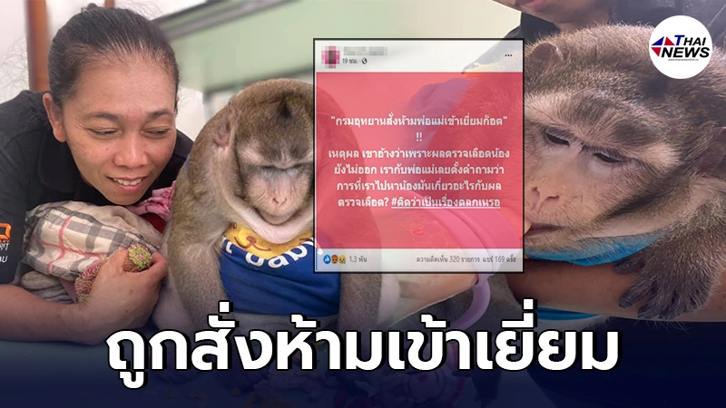 เจ้าของโอด ถูกกรมอุทยานฯสั่งห้ามเข้าเยี่ยม เจ้าก็อตซิลล่า - ไทยนิวส์ออนไลน์ เจ้าของโอด ถูกกรมอุทยานฯสั่งห้ามเข้าเยี่ยม เจ้าก็อตซิลล่า - ไทยนิวส์ออนไลน์