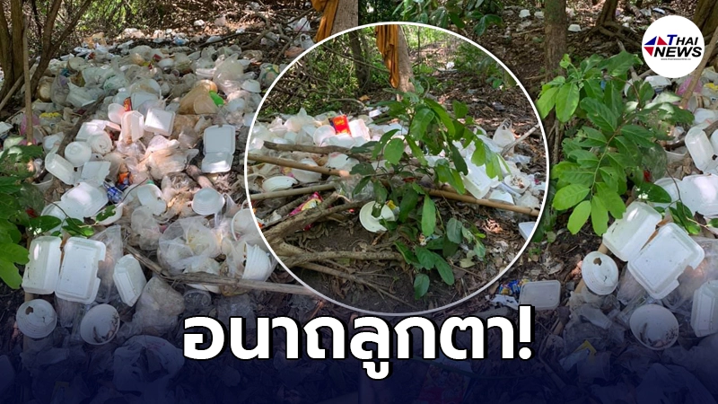 ภาพสุดงามไส้ นักท่องเที่ยวพร้อมใจทิ้งขยะเกลื่อนน้ำตกชื่อดัง ภาพสุดงามไส้ นักท่องเที่ยวพร้อมใจทิ้งขยะเกลื่อนน้ำตกชื่อดัง