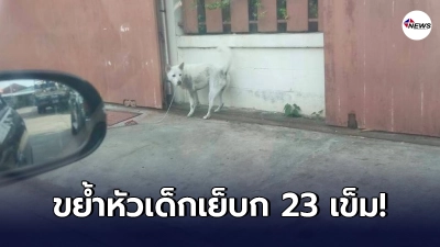 แม่สุดเจ็บใจ หมาแถวบ้านขย้ำหัวลูกเย็บ 23 เข็ม ถามเจ้าของได้คำตอบสุดเจ็บใจ แม่สุดเจ็บใจ หมาแถวบ้านขย้ำหัวลูกเย็บ 23 เข็ม ถามเจ้าของได้คำตอบสุดเจ็บใจ