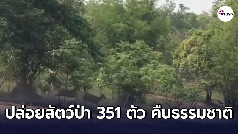 เผยคลิปนาที สัตว์ป่ากว่า 351 ตัว ถูกปล่อยคืนธรรมชาติ หลังชาวบ้านให้ความร่วมมือฟื้นฟูพื้นที่ทุ่งโนนป่าก่อเป็นแหล่งที่อยู่อาศัยสัตว์ป่า เผยคลิปนาที สัตว์ป่ากว่า 351 ตัว ถูกปล่อยคืนธรรมชาติ หลังชาวบ้านให้ความร่วมมือฟื้นฟูพื้นที่ทุ่งโนนป่าก่อเป็นแหล่งที่อยู่อาศัยสัตว์ป่า