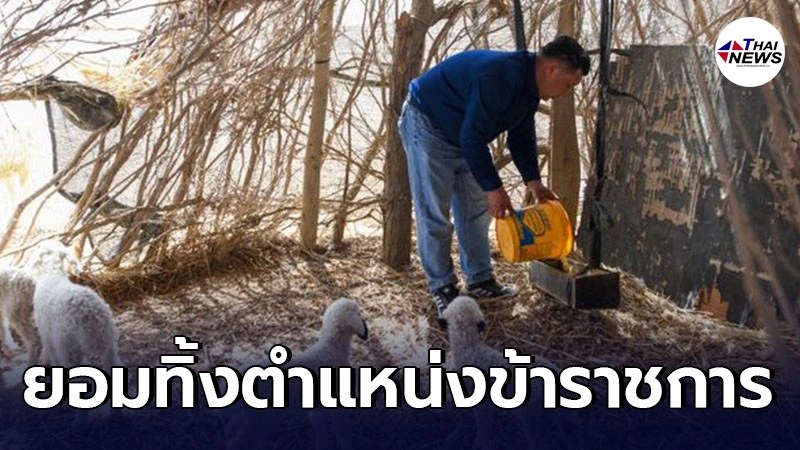 ชายจีนยอมทิ้งตำแหน่งข้าราชการ เพื่อเดินหน้าปลูกฝ้ายยุคใหม่ในซินเจียง