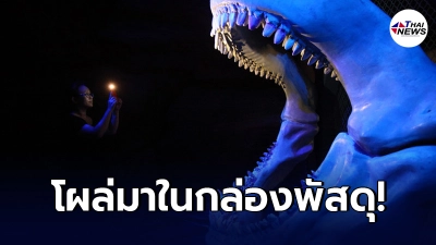 ศุลกากรอึ้ง เจอฟอสซิลฟันปลาฉลามยักษ์แสนปี ภายในกล่องพัสดุ ในฉงชิ่ง