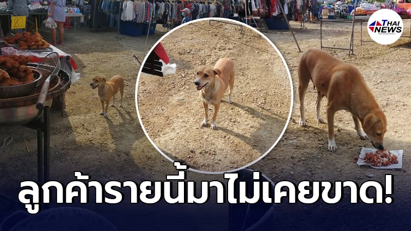 พ่อค้าตลาดนัดตัดพ้อ ฝนกระหน่ำทำคนหาย แต่ยังมีลูกค้าประจำมาไม่เคยขาด