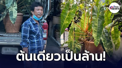 เจ้าของต้นไม้ยิ้มหน้าบาน ขอบคุณลูกค้าใจป้ำ ซื้อต้นไม้ราคาเกือบ 1.7 ล้าน