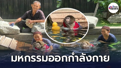 เจ้าก็อตซิลล่า ฝึกว่ายน้ำลดความอ้วน แฮปปี้สุดๆอ้อนเจ้าของหนักมาก