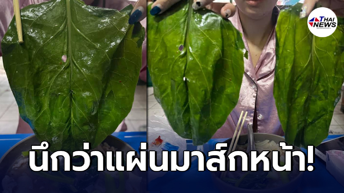 ลูกค้านั่งกิน ราดหน้า เจอผักคะน้าไซส์ยักษ์ นึกว่าทางร้านแถมฟรี แผ่นมาส์กหน้า ลูกค้านั่งกิน ราดหน้า เจอผักคะน้าไซส์ยักษ์ นึกว่าทางร้านแถมฟรี แผ่นมาส์กหน้า