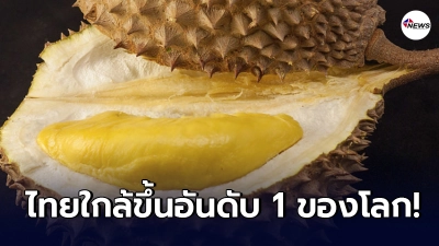 ประเทศไทยใกล้ขึ้นสู่ "ผลผลิตทุเรียน" อันดับ 1 ของโลก แทนที่ประเทศอินโดนีเซีย