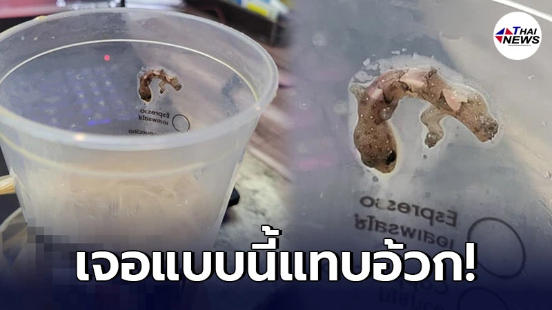 อ้วกแทบพุ่ง หนุ่มเจอซากจิ้งจกในแก้วกาแฟร้านดัง ดูดตั้งนาน ก็ว่าทำไมดูดไม่ขึ้น อ้วกแทบพุ่ง หนุ่มเจอซากจิ้งจกในแก้วกาแฟร้านดัง ดูดตั้งนาน ก็ว่าทำไมดูดไม่ขึ้น